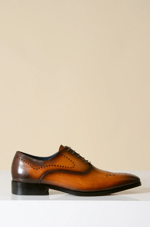 Brown Leather Shoes, Marc Darcy Jake - Wingtip Brogue